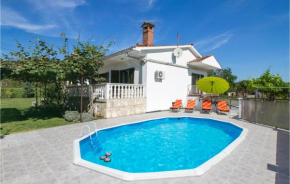 3 Bedroom Beautiful Home In Nedescina